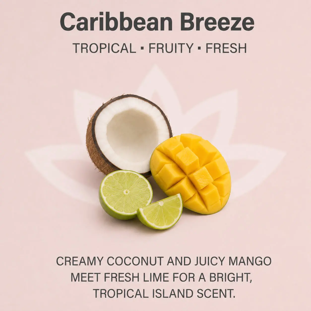 Organic Whipped Body Butter for Extremely Dry Skin 8 oz. - Image 21