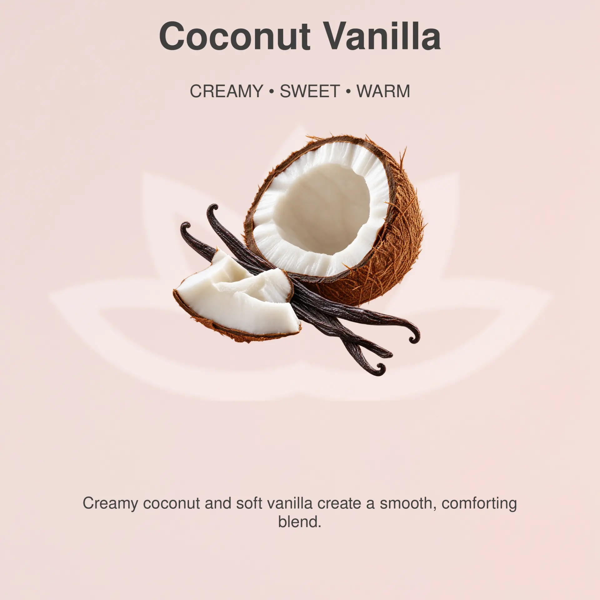Organic Whipped Body Butter for Extremely Dry Skin 8 oz. - Image 29