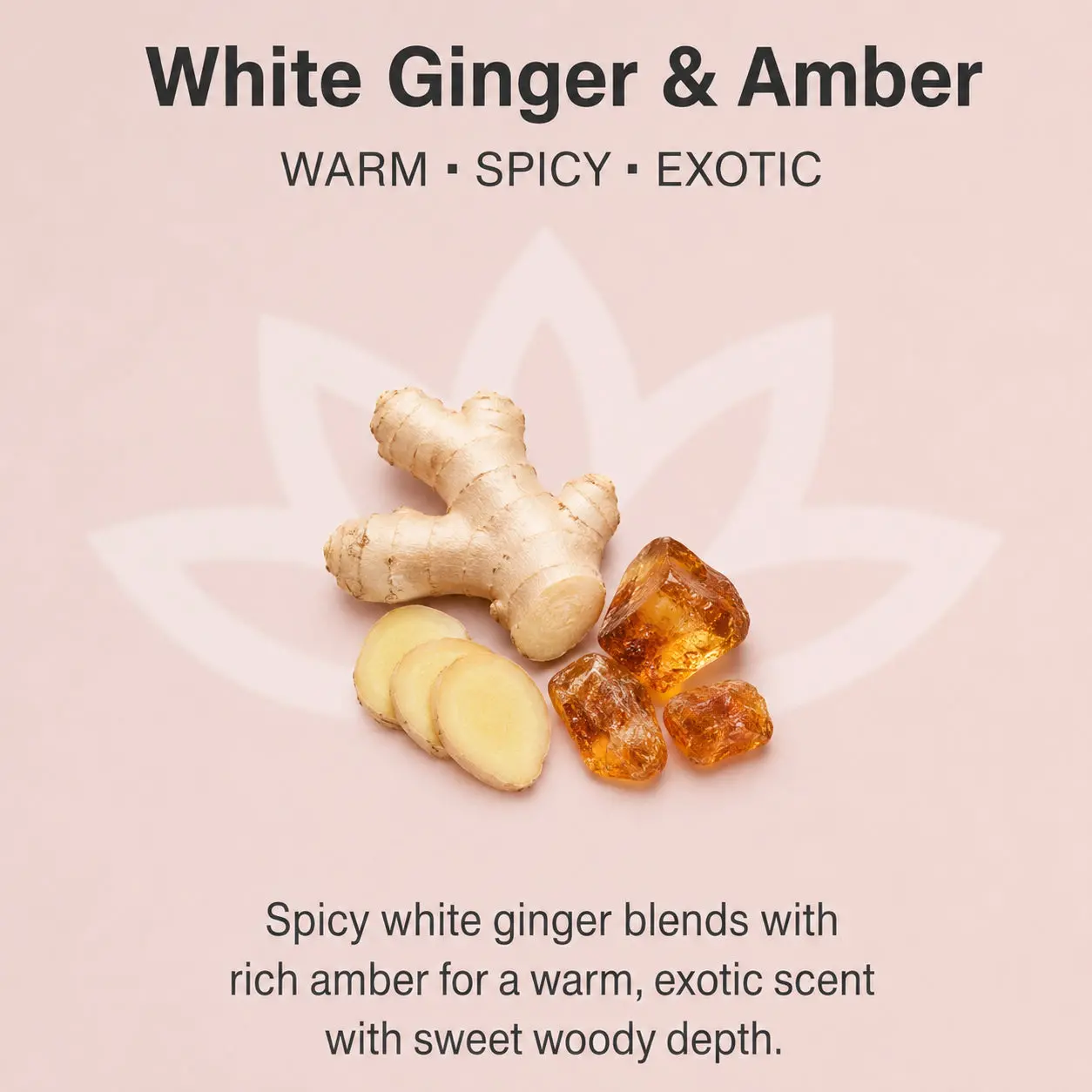 Organic Whipped Body Butter for Extremely Dry Skin 8 oz. - Image 53